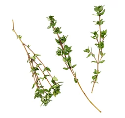 Foto op Plexiglas branches of thyme on a white background © Greatstockimages