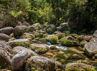 A running river along one one of New Zealand's famous alpine crossings.