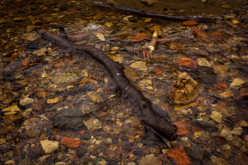Палки в воде. 1