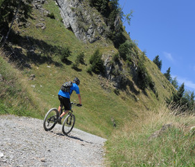 descente  en vélo tout terrain dans les alpes