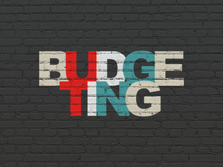 Business concept: Budgeting on wall background
