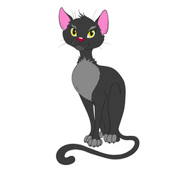 Cat cartoon character on a white background