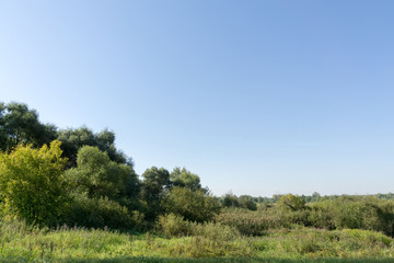 Summer Rural Landscape