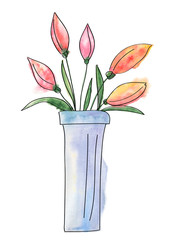 Tulip watercolor painting isolated
