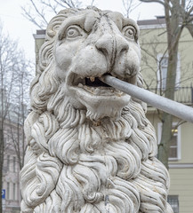 Львиный мост в Санкт-Петербурге пасмурным днем.