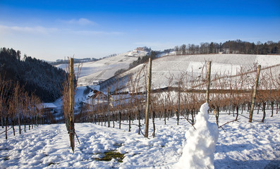 Ortenau Vineyards in the Wintertime, Black Forest, Germany
