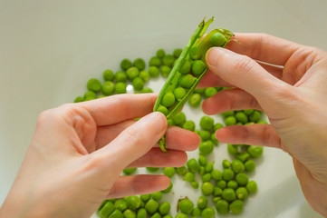 Naklejka na ściany i meble Woman podding fresh green peas in a white bowl