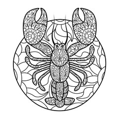 Lobster coloring book for adults vector