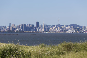 Fototapeta premium Clear Morning Meadow View Across San Francisco Bay