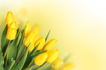 Spring Flowers. Beautiful Yellow Tulips Bouquet