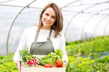 Young attractive woman collecting vegetable in a greenhouse