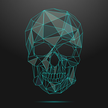 Low Poly Skull. Thin Line Skull Vector