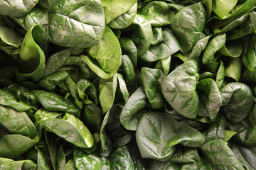 leaves of fresh spinach