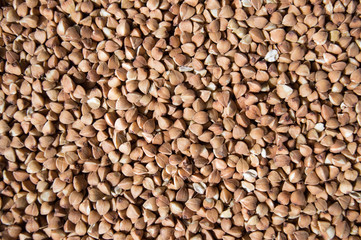 Buckwheat