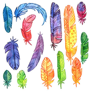 set of watercolor feathers