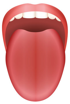 Stuck out tongue - isolated vector illustration on white background.