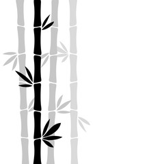 Fototapeta premium Bamboo silhouette isolated on white background.