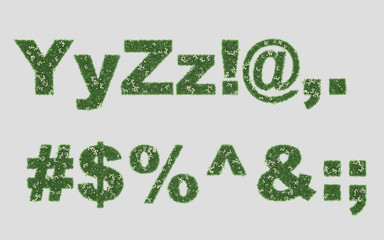 Summer grass text with flower chamomile font isolated on background. High resolution 3d illustration