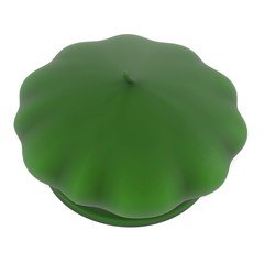3d renderings of beret hat