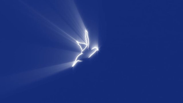 Dove bird flight, Dove of peace - abstract. Loop. Clip contains dove, bird, flight, flying, dove of peace, Pigeon, silhouette, isolated.	
