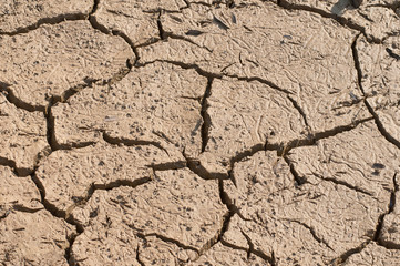 cracked earth