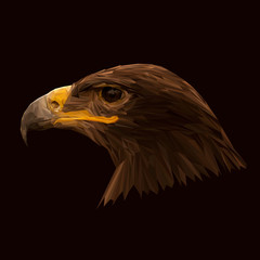 Eagle animal low poly design. Triangle vector illustration.
