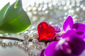 background with purple orchids pearls and heart