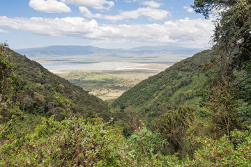 Naklejka premium View on huge Ngorongoro caldera (extinct volcano crater) with large lake from cleft against blue sky background. Great Rift Valley, Tanzania, East Africa. 
