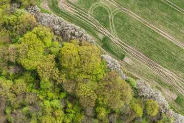 aerial view of the tractor  tracks on the harvest field