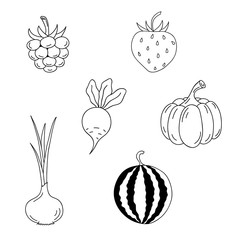 Set of berries and vegetables. 