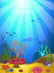 Fototapeta na wymiar Seabed with corals