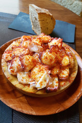 Octopus 