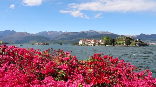 Isola Bella and Isola Superiore in spring Blooming azaleas at Lake Maggiore, Italy 