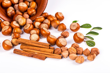 hazelnuts photo illustration on a white background
