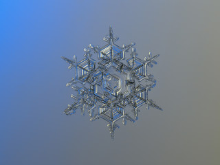 Snowflake on smooth gradient background: macro photo of real snow crystal on glass surface with LED back light. This is large snowflake of stellar dendrite / splitted plate type.