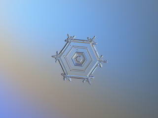 Snowflake on smooth gradient background: macro photo of real snow crystal on glass surface with LED...