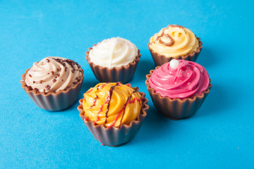 Colorful cupcakes.  Chocolate Cupcake