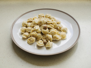 Meat dumpling on a plate