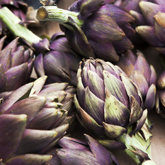 Fototapeta premium Background of fresh artichokes