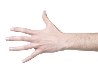 human hand