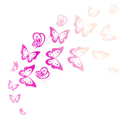 butterflies design