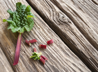 Rhabarber auf altem Treibholz / Holz Hintergrund, Rheum rhabarbarum 