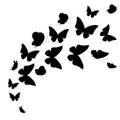 Obraz na płótnie Canvas butterflies design