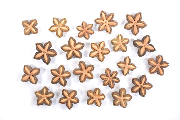 sacha inchi, sacha mani or star inca peanut seed on white background