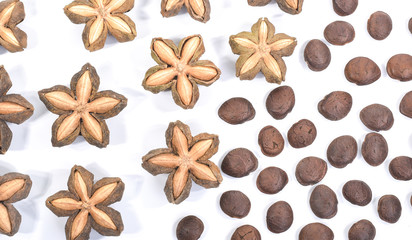 sacha inchi, sacha mani or star inca peanut seed on white background