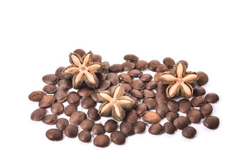 sacha inchi, sacha mani or star inca peanut seed on white background