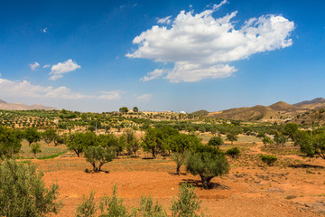 Naklejka na ściany i meble Nature of Spain, rural landscape