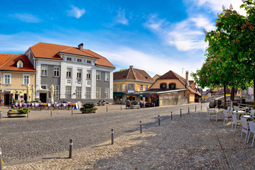 Town of Samobor square view