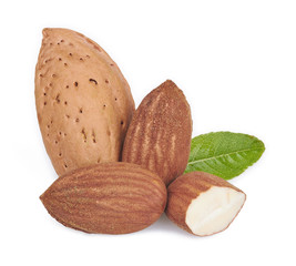 almonds in close-up