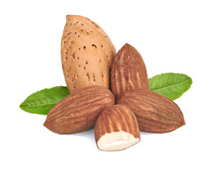 almonds in close-up